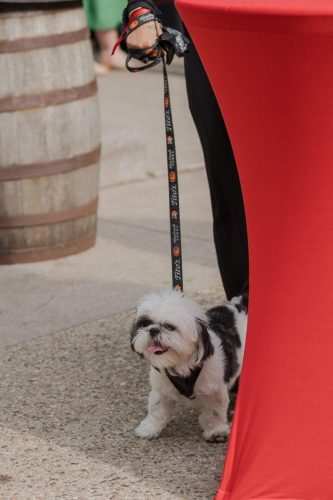 06-12-25 GCCGala InnerCirclePhoto 0162