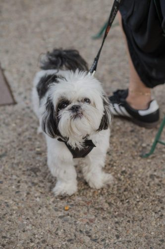 06-12-25 GCCGala InnerCirclePhoto 0194