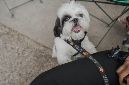 06-12-25 GCCGala InnerCirclePhoto 0340